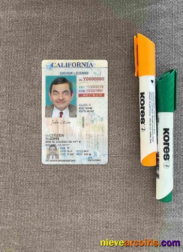 USA California driving license photolook